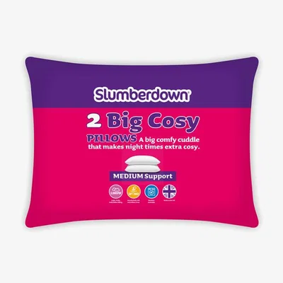 The Range Slumberdown Big Cosy Pillow Pair