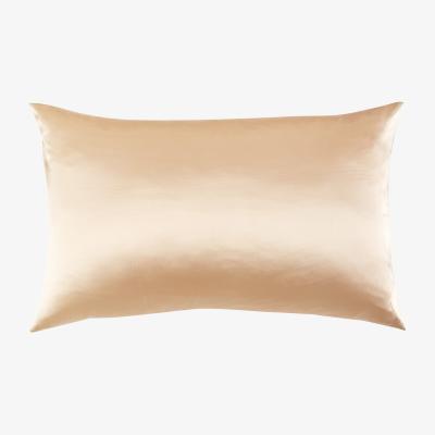 Wolf & Badger Luxury Pure Mulberry Silk Pillowcase Queen Size Drape Collection Neutrals In Champagne Us Queen Soft Strokes Silk