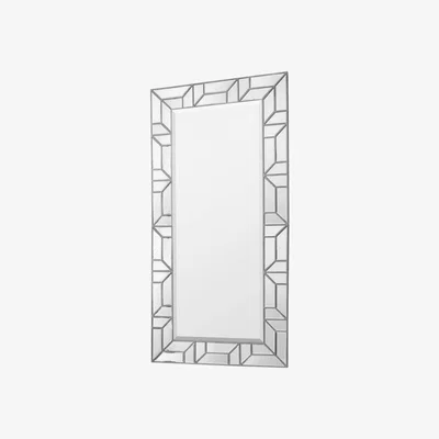 Knees Birch Medium Rectangle Leaner Mirror - Silver