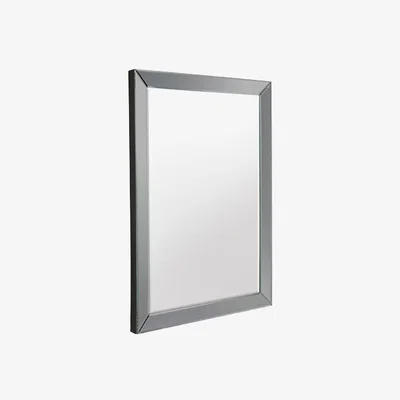 Perch and Parrow Skylar Wall Mirror