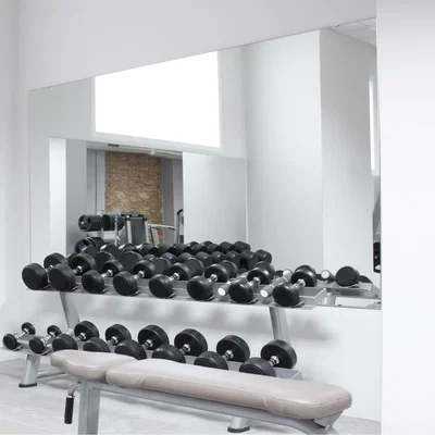 The Range Circuitt Gym Studio 4mm Sheet Mirror Glass 4 Holes - Mirror