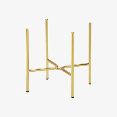 Amara Life Speaker and Lamp Frame