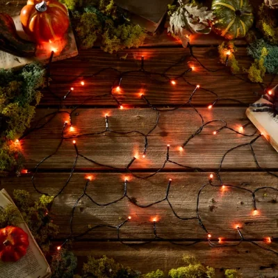 Dunelm 50 LED String Lights