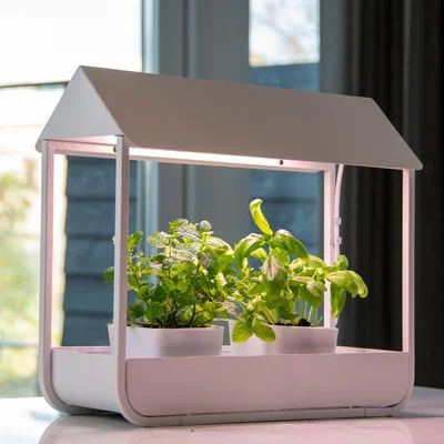 Dunelm Fallen Fruits Plant Cold Frame with Grow Lamp