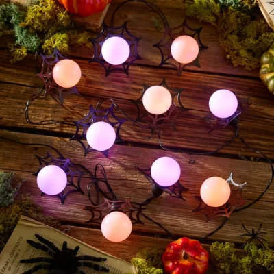 Dunelm 10 LED Festoon Webs String Lights