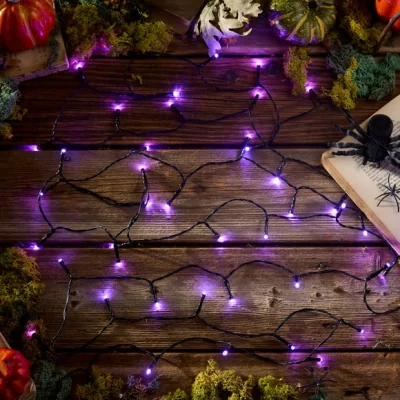 Dunelm 50 LED String Lights