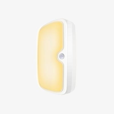 The Range 10W LED Infrared Sensor Light for Versatile Use - White