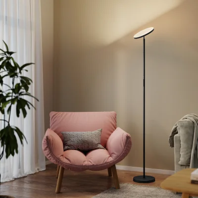 The Range HOMCOM RGB Floor Lamp with Rotatable Head - Black