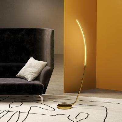 The Range HOMCOM Modern LED Floor Lamp with Adjustable Brightness - Gold Tone