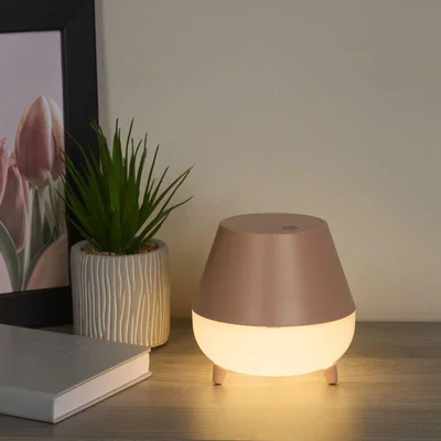 The Range Rechargeable Pink Storage Table Lamp - Pink
