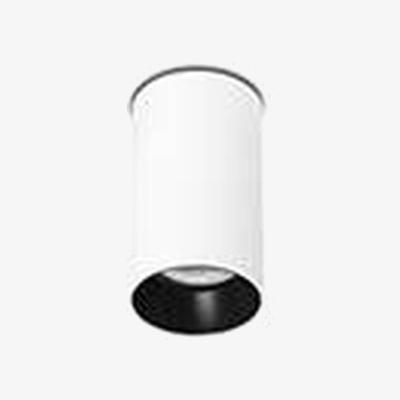 The Range Stan Surface Mounted Ceiling Lamp - White