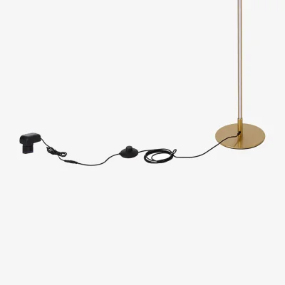 The Range Dimmable LED Floor Lamp with Remote Control - Gold