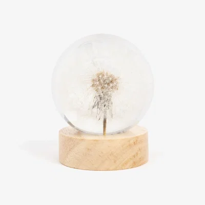 Wolf & Badger Neutrals / Brown Bohemian Led Table Lamp With Real Dandelion – Designer Christmas Gift For Cozy Interior Decor | My Little Nature