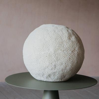 Graham & Green Large Coral Lamp