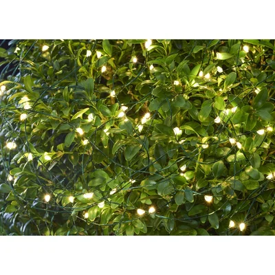 Heal's Sirius Knirke Solar 120 LED String Lights - Heal's UK Furniture