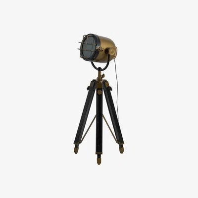 Teddy Beau Brass And Black Industrial Spotlight Tripod Lamp