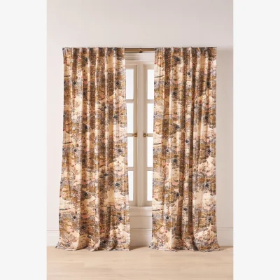 Anthropologie Francois Printed Velvet Curtain