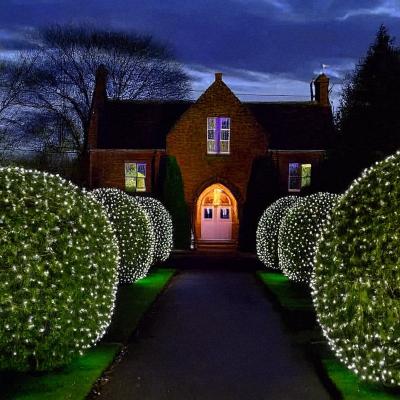 Dunelm Mercer Set of 2 600 LED Curtain Lights