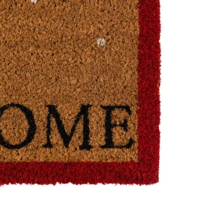 Dunelm Cedar and Sage Friendly Robin Welcomes You Coir Doormat