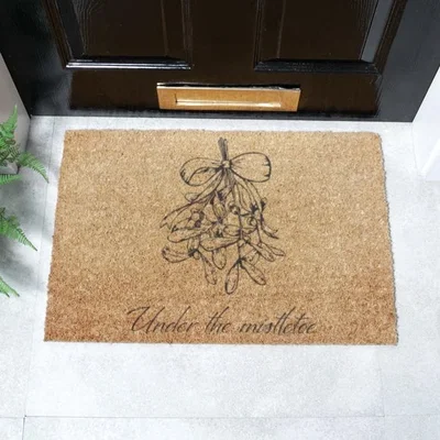 Dunelm Artsy Mats Mistletoe Lines Coir Doormat