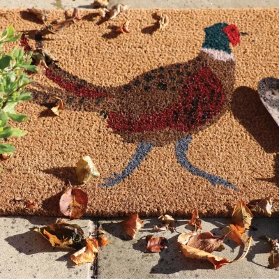 Hug Rug Printed Coir Pheasant Doormat