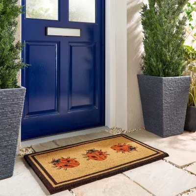Hug Rug Ladybird Coir Doormat