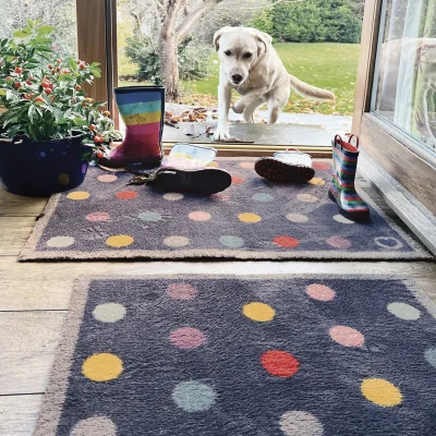 Hug Rug Bright Spot 1 Charity Doormat