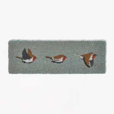 The Range Grey Robin Non-Slip Coir Doormat - Grey