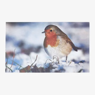 The Range Recycled Rubber Printed Winter Robin Doormat - Multi