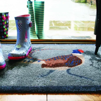 The Rug Seller Pheasant Washable Anti Slip Doormat in Grey