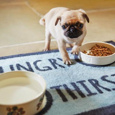The Rug Seller Howler & Scratch Hungry Mats 2 in Blue