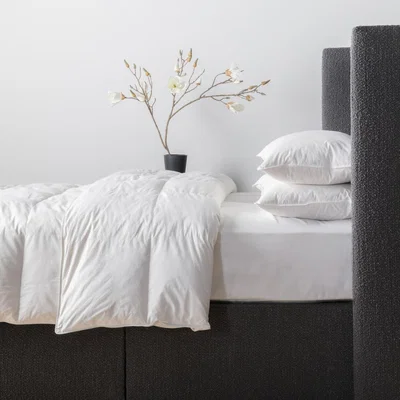 Perch and Parrow Keane Hypoallergenic Duvet