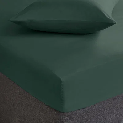 Dunelm Fogarty Soft Touch Fitted Sheet