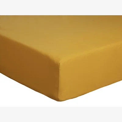 Habitat Habitat Cotton Rich Plain Mustard Fitted Sheet - Double