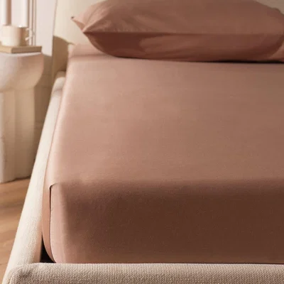 Habitat Habitat Egyptian Cotton Plain Mocha Deep Fitted Sheet- King
