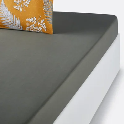 La Redoute Fougère Cotton Percale Fitted Sheet