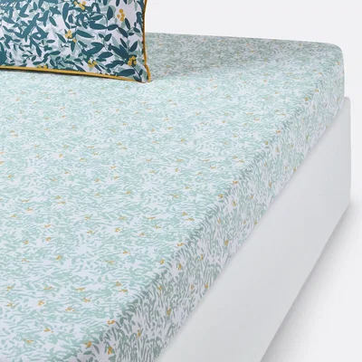 La Redoute Foliage Cotton Percale Fitted Sheet