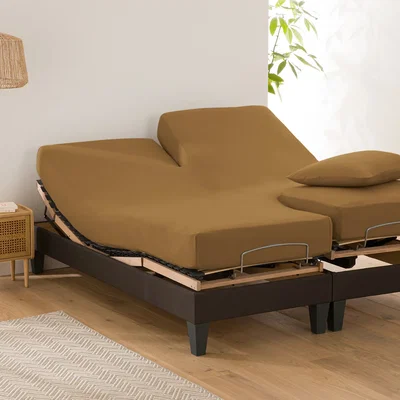 La Redoute Scenario Plain Cotton Fitted Sheet For Articulated Bed