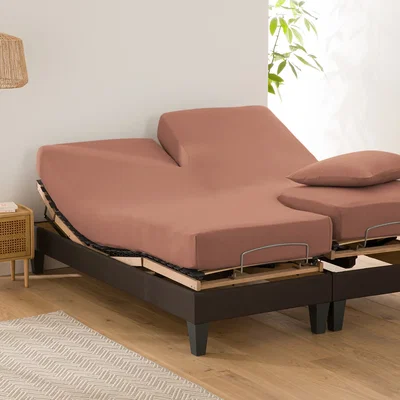 La Redoute Scenario Plain Cotton Fitted Sheet For Articulated Bed