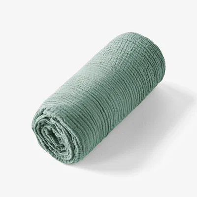 La Redoute Yafa Organic Cotton Muslin Fitted Sheet