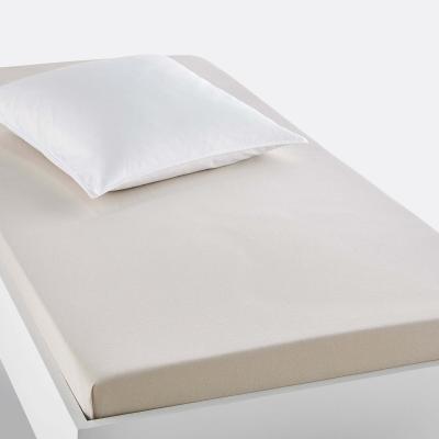 La Redoute Scenario Plain 100% Organic Cotton Jersey Fitted Sheet