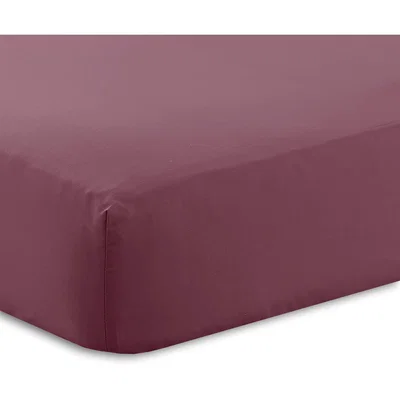 The Range Extra Deep Percale Fitted Sheet - Plum / Double