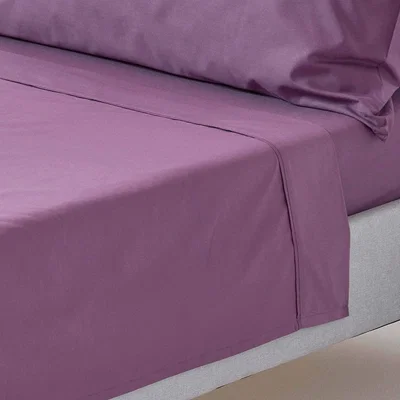 The Range 200 Thread Count Egyptian Cotton Flat Sheet - Grape / King