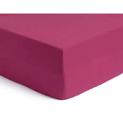 Habitat Habitat Polycotton Rich Berry Fitted Sheet - Single