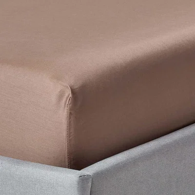 The Range Organic Egyptian Cotton Extra Deep Fitted Sheet - Brown / Single