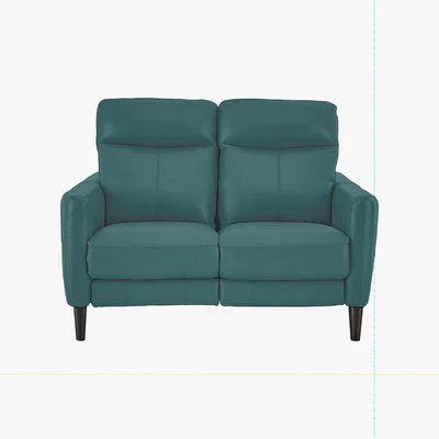 Furniture Village Compact Collection Petit 2 Seater Leather Sofa- World of Leather