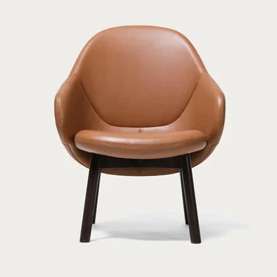 Bombinate.com Brown Albu Lounge Armchair