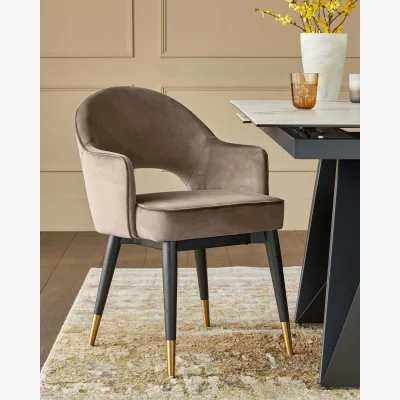 Danetti Clover Champagne Velvet & Brushed Brass Dining Armchair
