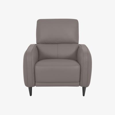 Furniture Village Domicil - Logan NC Leather Chair - NP Taupe