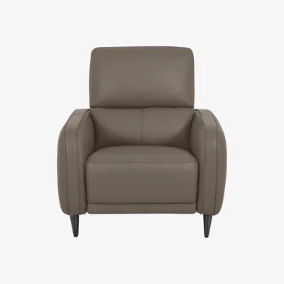 Furniture Village Domicil - Logan NC Leather Chair - NN Pine Bark